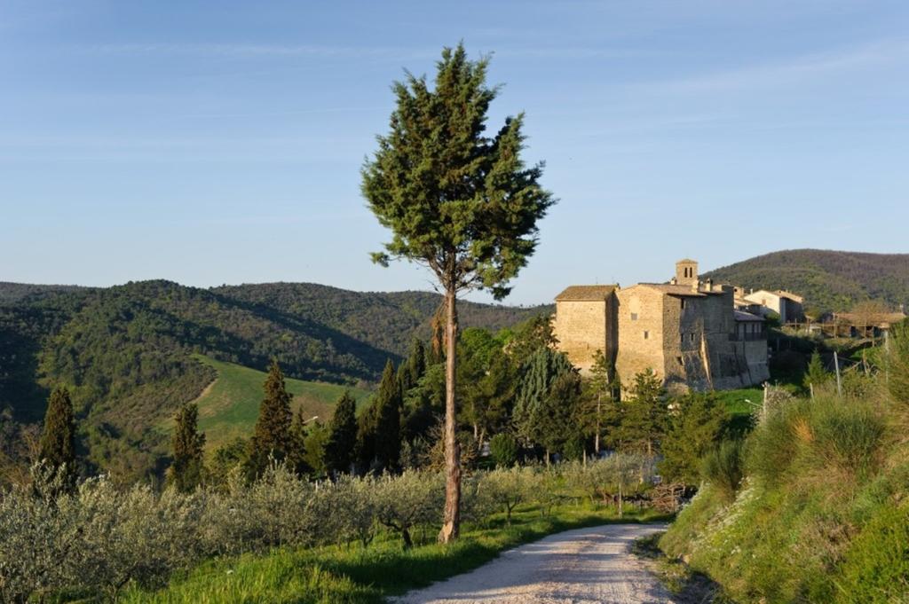 Umbria nel cuore Cannara Esterno foto